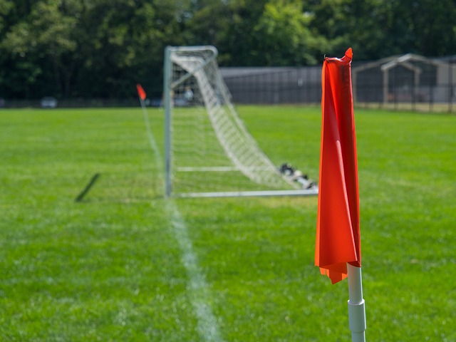 西海岸投资人：未来会开拓海外市场，英博式股改适合我们