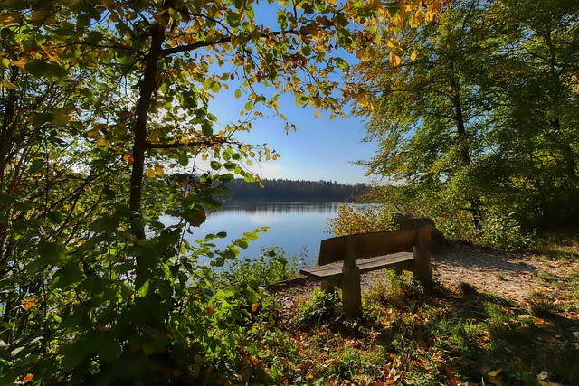 武汉三镇球员邓涵文离队加盟云南玉昆，结束本赛季征程。