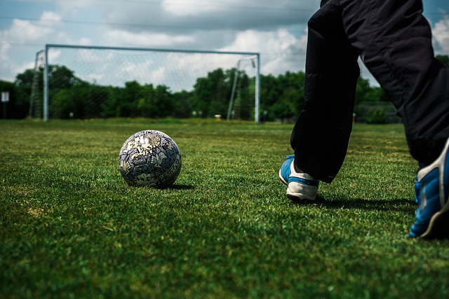 仅体现了郑 仅体现了郑