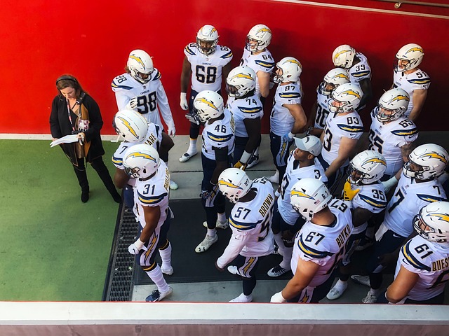 广东蜀地红 广东蜀地红