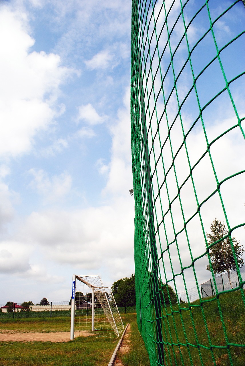 新人的融入 新人的融入