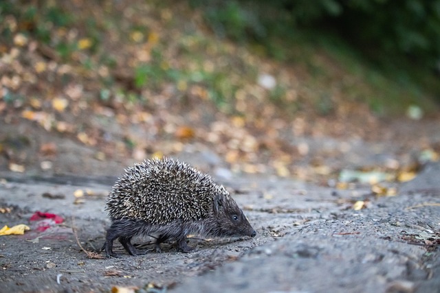 在最后关头 在最后关头